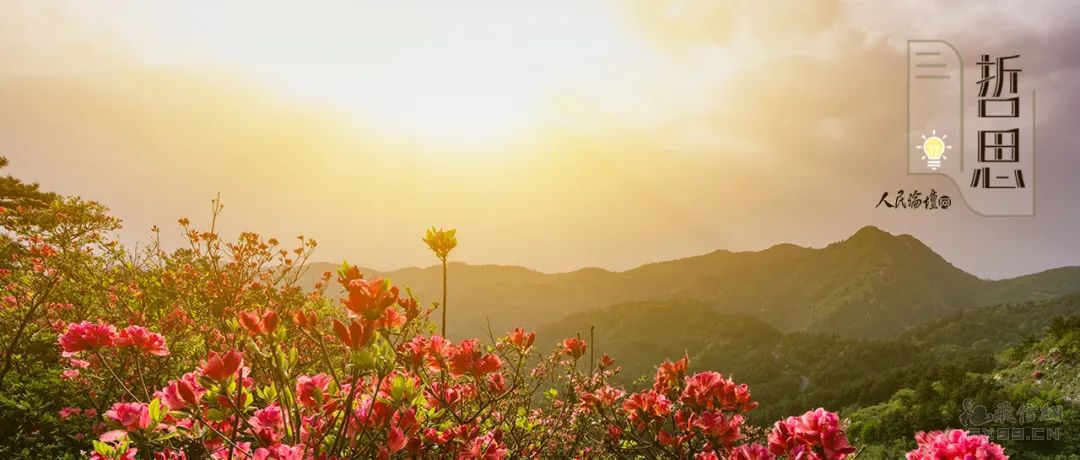 米价大幅上涨！日本罕见“大米荒”，多地出现断货、限购……！政府拒绝投放储备米
