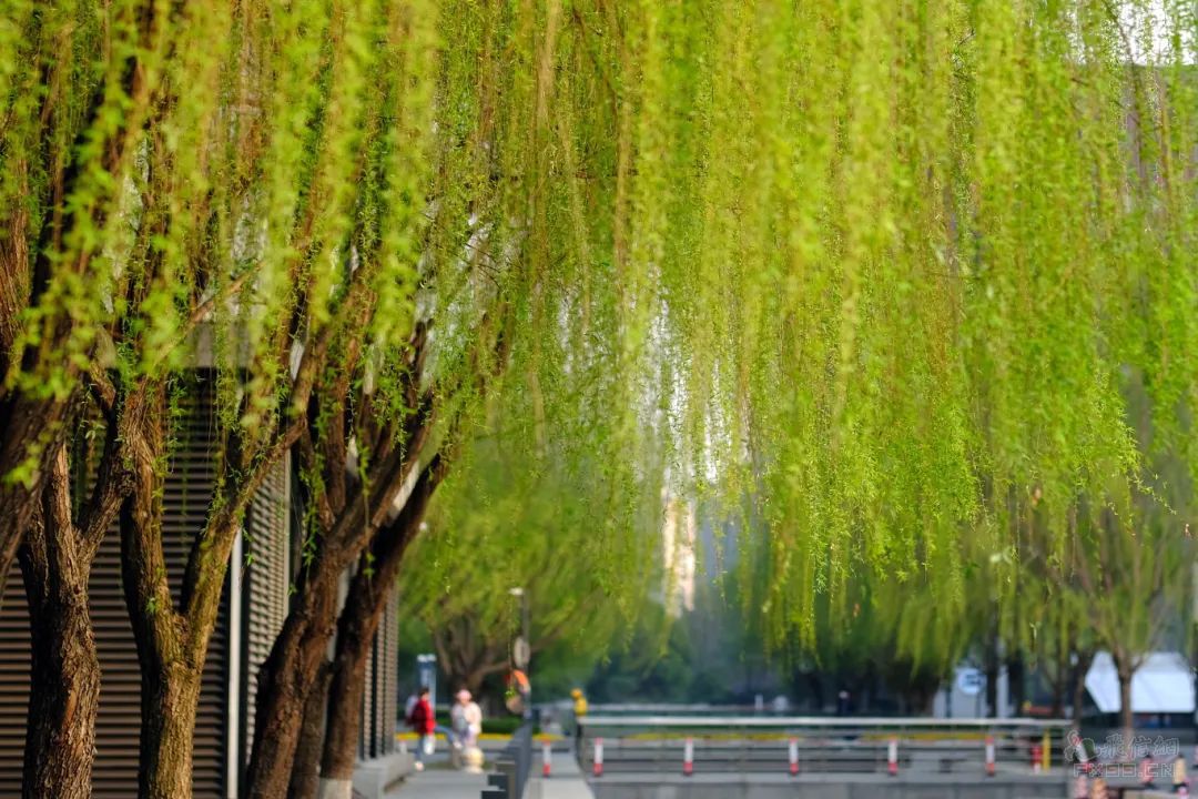 9月8日晚间沪深上市公司重大事项公告最新快递